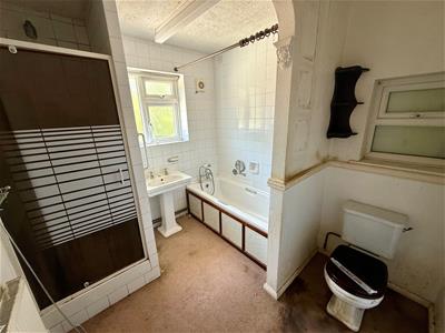 Picture 13
